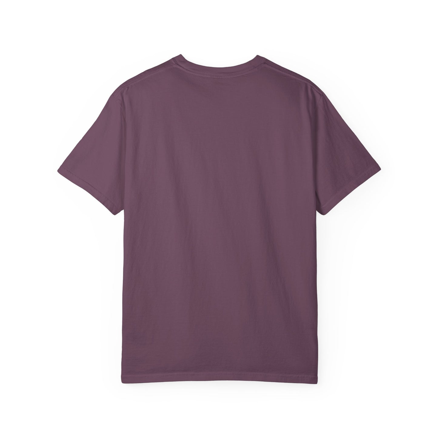 Christian Graphic T-Shirt — "Big Jesus Fan" Pink Text on Red Stripe Tee